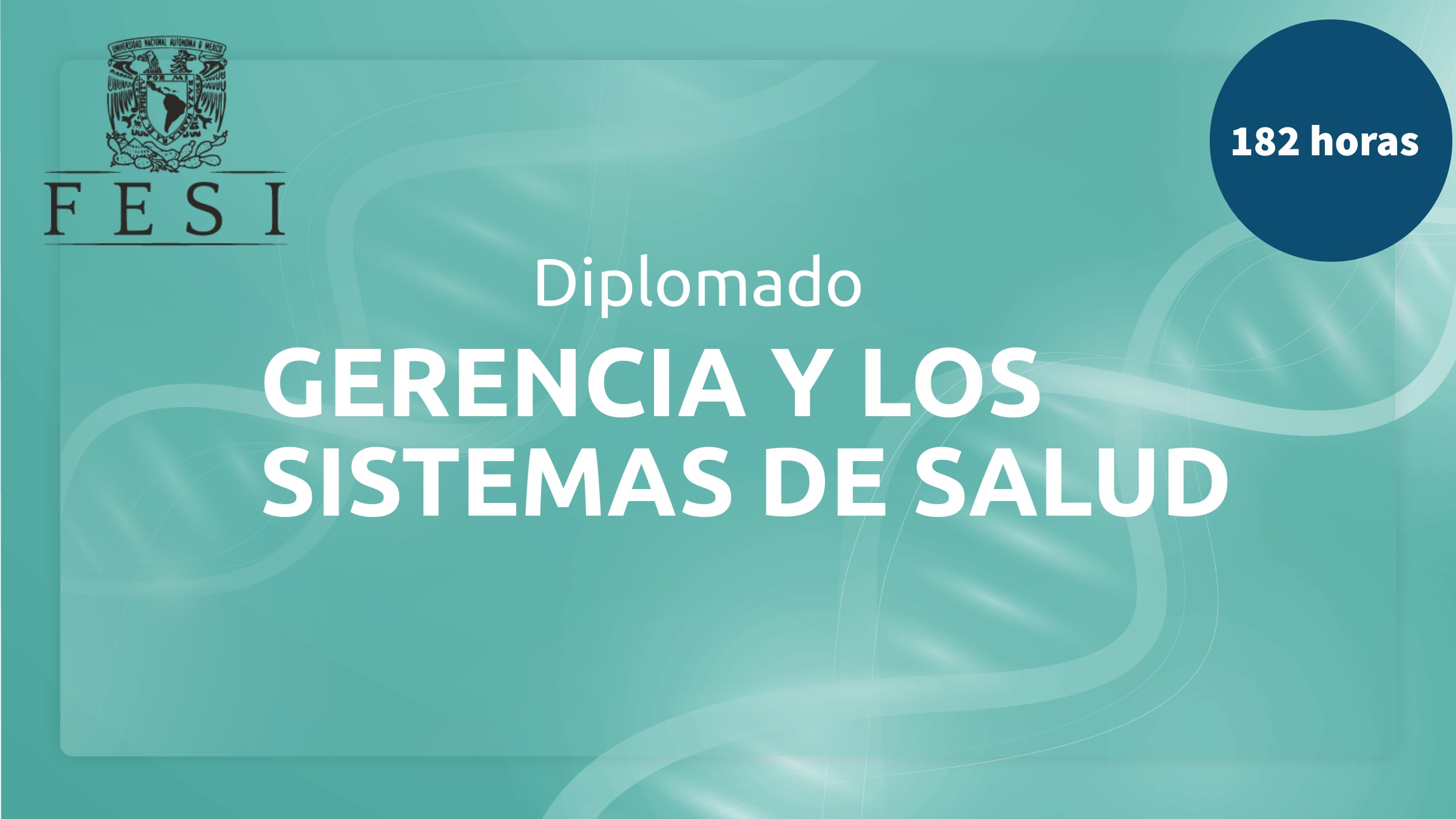 Gerencia y los sistemas de salud (CD33-21)