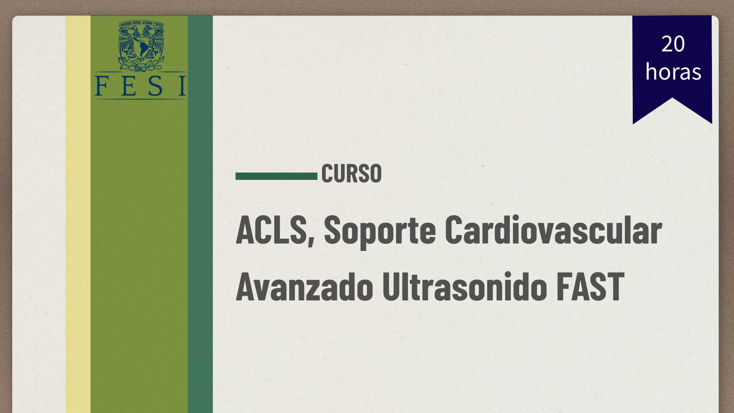 CC13422-ACLS, Soporte Cardiovascular Avanzado Ultrasonido FAST